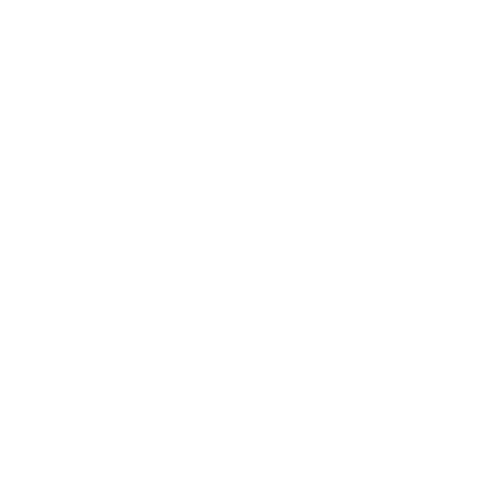 Advance EMS Logo