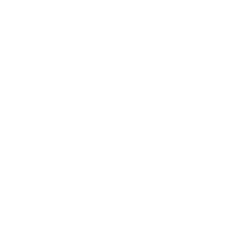 Borg Warner Logo