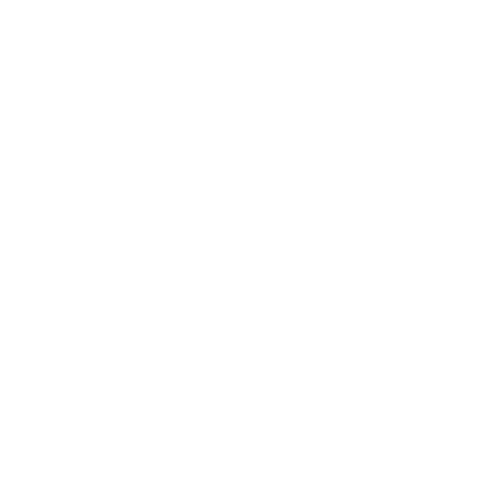 Raynor Garage Doors Logo