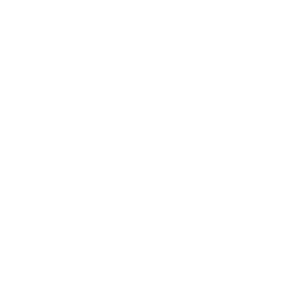 Wahl Logo