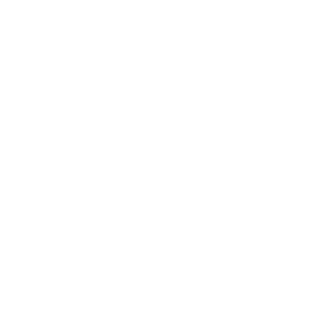 WIPFLI Logo